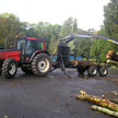 Timber Extraction